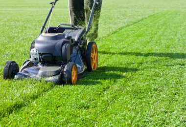 Comment bien choisir sa tondeuse à gazon ?