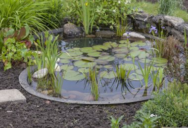 bassin d'ornement jardin