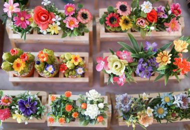 plante balcon