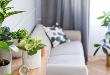 Comment protéger ses plantes du froid ?
