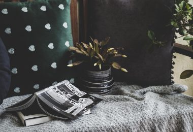 plantes vertes pour décorer