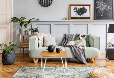 décoration intérieur moderne