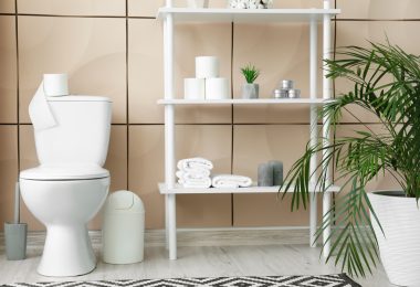 decoration toilette