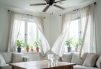 Interieur lumineux avec ventilateur et plantes pour rester au frais en ete